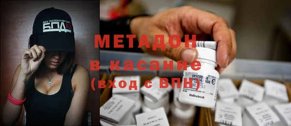 прущие грибы Арсеньев
