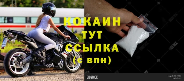 прущие грибы Арсеньев