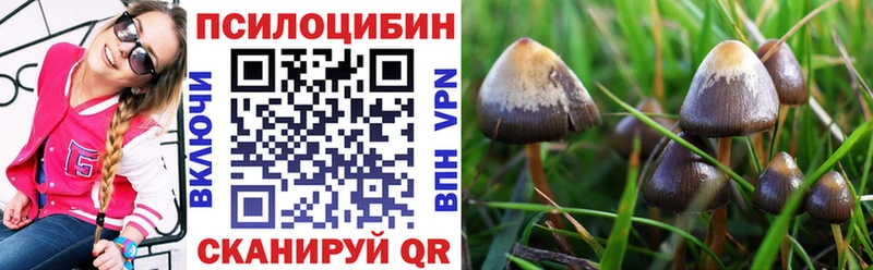 Галлюциногенные грибы Magic Shrooms  Мичуринск 